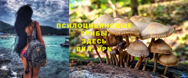 spice Бронницы