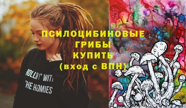 mdma Бородино