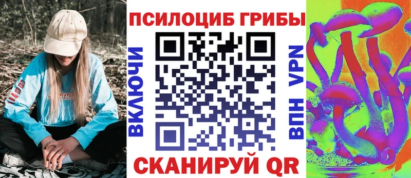 Псилоцибиновые грибы мухоморы  где найти   Ульяновск 